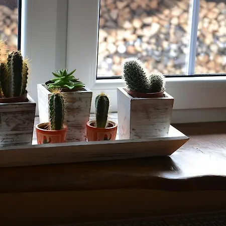 U Robsona Szklarska Poreba